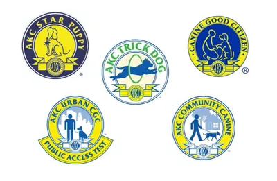 AKC S.T.A.R. Puppy, Trick Dog, Canine Good Citizen, Urban CGC, and Community Canine evaluator program logos