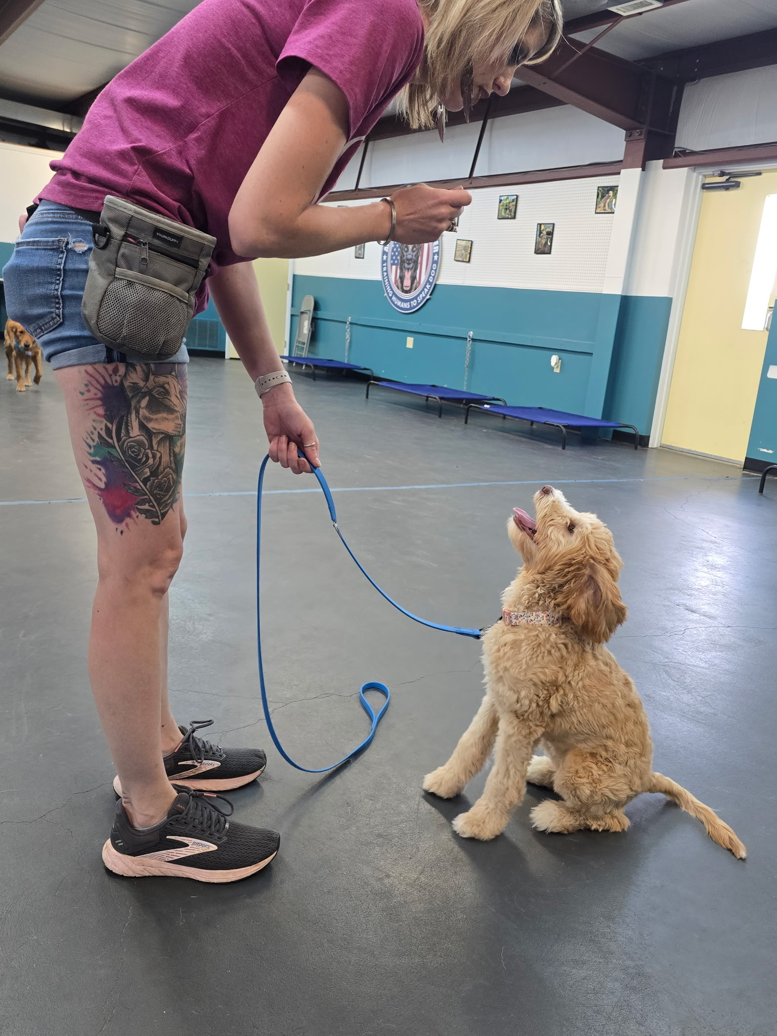 Veteran-led dog training near Wichita